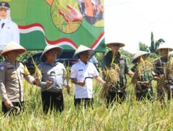 Ketua DPRD Kota Cirebon Hadiri Panen Raya Serentak Secara Virtual