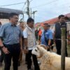 Jamin Keamanan Ibadah Kurban, Wali Kota Cirebon Tinjau Kelayakan Hewan di Lima Titik