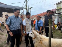 Jamin Keamanan Ibadah Kurban, Wali Kota Cirebon Tinjau Kelayakan Hewan di Lima Titik
