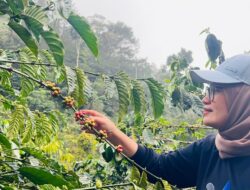 Bank Indonesia Dukung Petani Kopi Kuningan Mendunia